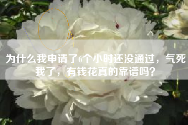 为什么我申请了6个小时还没通过，气死我了，有钱花真的靠谱吗？