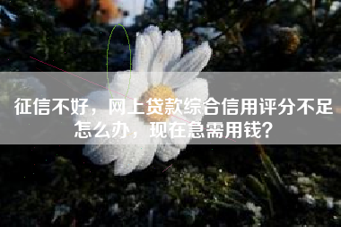 征信不好，网上贷款综合信用评分不足怎么办，现在急需用钱？