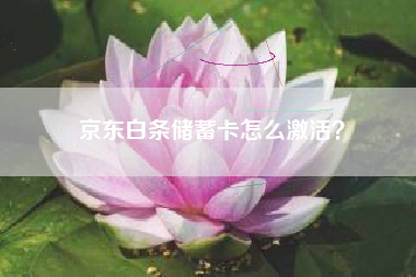 京东白条储蓄卡怎么激活？