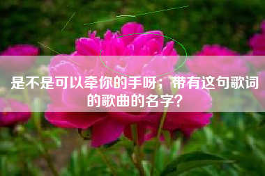 是不是可以牵你的手呀；带有这句歌词的歌曲的名字？