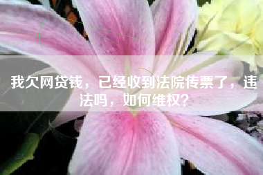 我欠网贷钱，已经收到法院传票了，违法吗，如何维权？