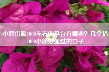 小额借款1000左右的平台有哪些？几个借1000小额好通过的口子