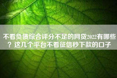 不看负债综合评分不足的网贷2022有哪些？这几个平台不看征信秒下款的口子