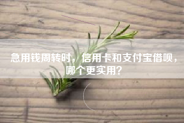 急用钱周转时，信用卡和支付宝借呗，哪个更实用？