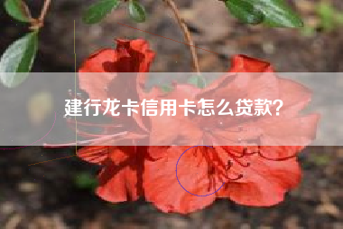 建行龙卡信用卡怎么贷款？