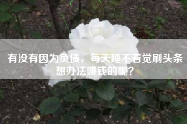 有没有因为负债，每天睡不着觉刷头条想办法赚钱的呢？