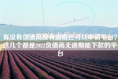 有没有负债高没有逾期还可以申请平台？这几个都是2022负债高无逾期能下款的平台