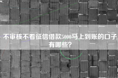 不审核不看征信借款5000马上到账的口子有哪些？