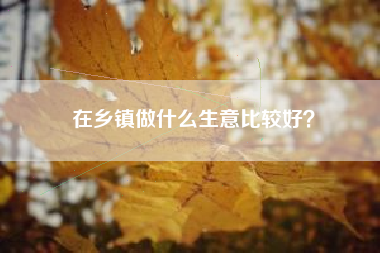 在乡镇做什么生意比较好？