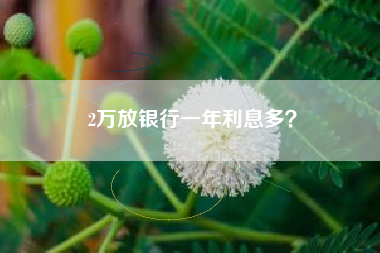 2万放银行一年利息多？