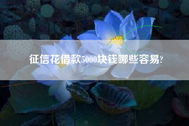 征信花借款5000块钱哪些容易?