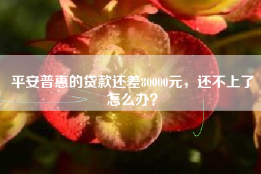 平安普惠的贷款还差80000元，还不上了怎么办？