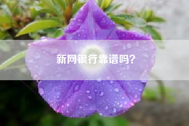 新网银行靠谱吗？