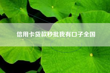 信用卡贷款秒批我有口子全国