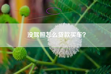 没驾照怎么贷款买车？