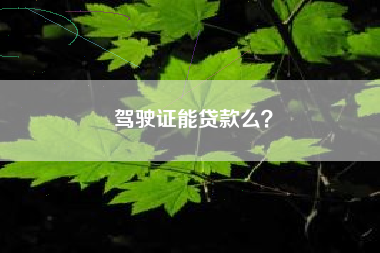 驾驶证能贷款么？