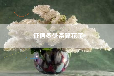 征信多少条算花了