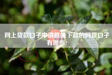 网上贷款口子申请就能下款的网贷口子有哪些?