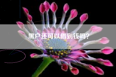 黑户还可以借到钱吗？