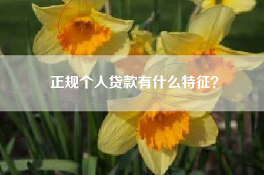 正规个人贷款有什么特征？