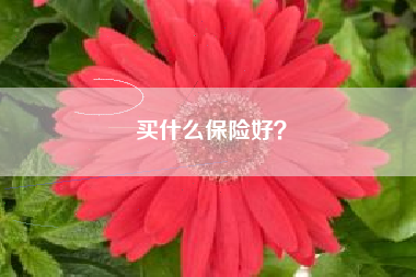 买什么保险好？