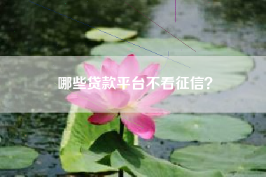 哪些贷款平台不看征信？