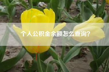 个人公积金余额怎么查询？