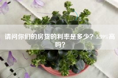 请问你们的房贷的利率是多少？5.39%高吗？