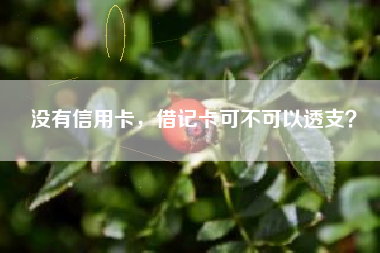 没有信用卡，借记卡可不可以透支？