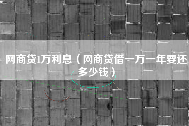 网商贷1万利息（网商贷借一万一年要还多少钱）