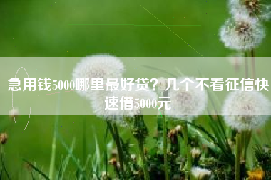 急用钱5000哪里最好贷？几个不看征信快速借5000元