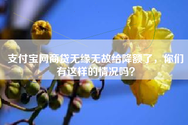 支付宝网商贷无缘无故给降额了，你们有这样的情况吗？