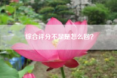 综合评分不足是怎么回？