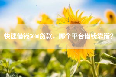 快速借钱5000货款，哪个平台借钱靠谱？