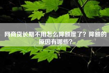 网商贷长期不用怎么降额度了？降额的原因有哪些？