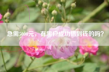 急需5000元，有黑户成功借到钱的吗？