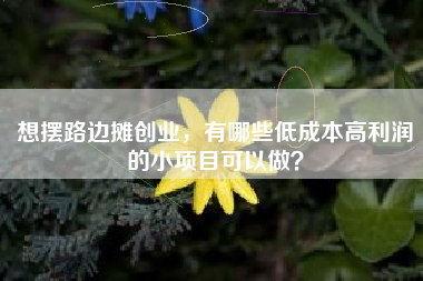 想摆路边摊创业，有哪些低成本高利润的小项目可以做？