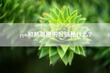 ppn和私募债的区别是什么？