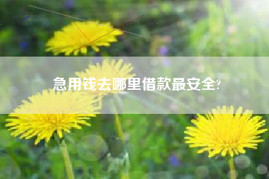 急用钱去哪里借款最安全?