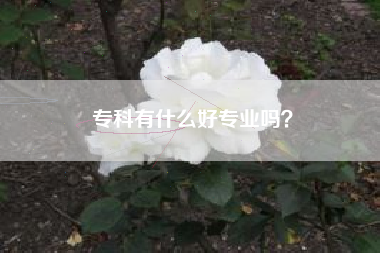 专科有什么好专业吗？