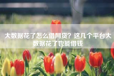 大数据花了怎么借网贷？这几个平台大数据花了也能借钱​