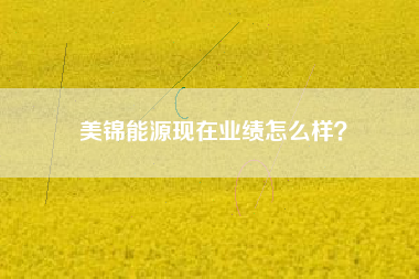 美锦能源现在业绩怎么样？