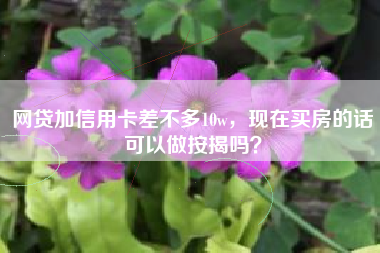 网贷加信用卡差不多10w，现在买房的话可以做按揭吗？