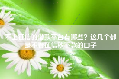 不上征信的借款平台有哪些？这几个都是不看征信秒下款的口子