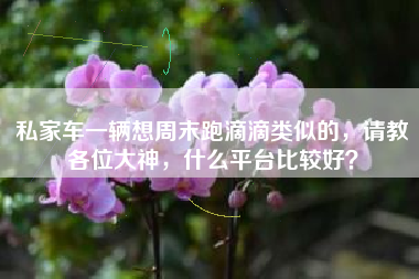 私家车一辆想周末跑滴滴类似的，请教各位大神，什么平台比较好？