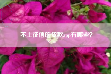 不上征信的贷款app有哪些？