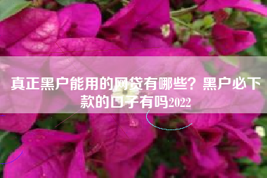 真正黑户能用的网贷有哪些？黑户必下款的口子有吗2022