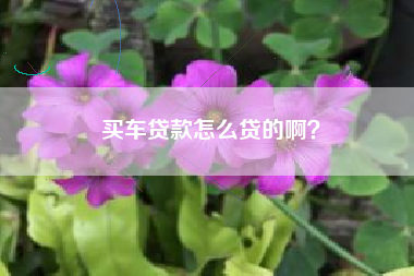 买车贷款怎么贷的啊？