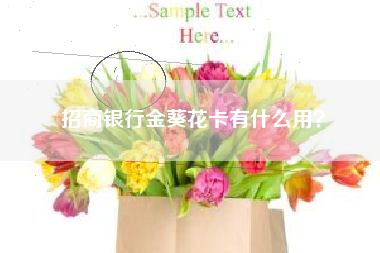 招商银行金葵花卡有什么用？