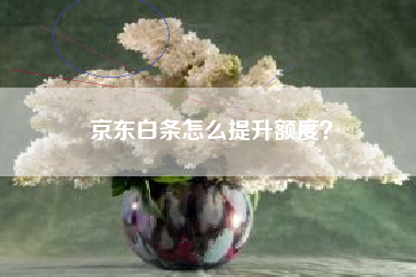 京东白条怎么提升额度？